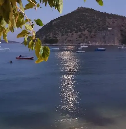 Skalidis Tolo